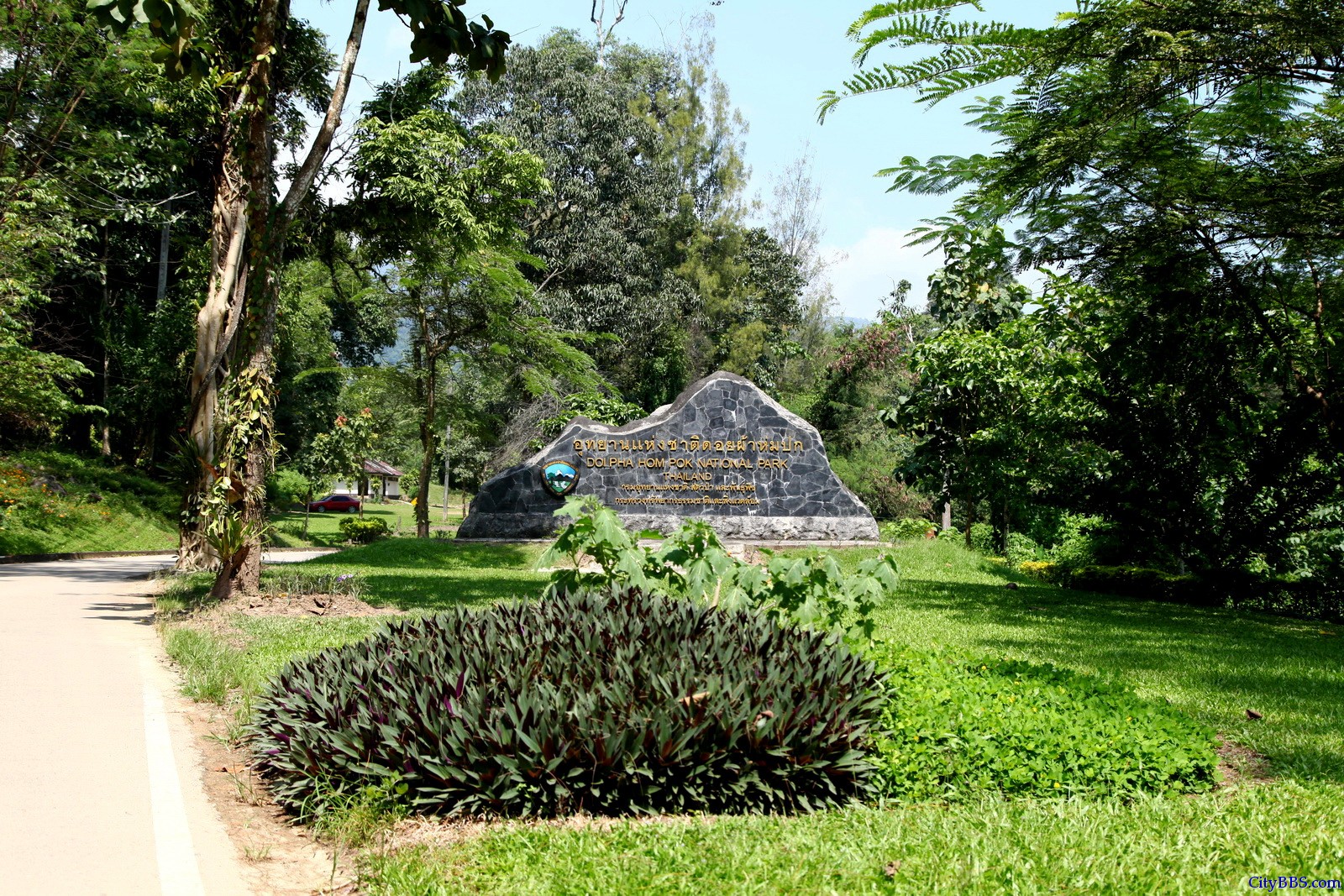 泰国北部 Doi Pha Hom Pak National Parks 泰国森林公园 泰国北部 Doi Pha Hom Pak National Parks 泰国森林公园