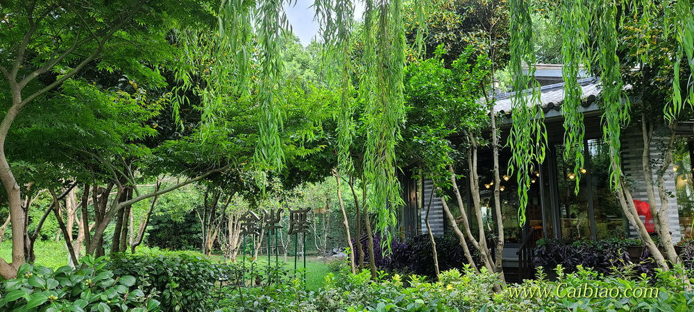 西湖美景 西湖美景